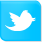 Logo twitter